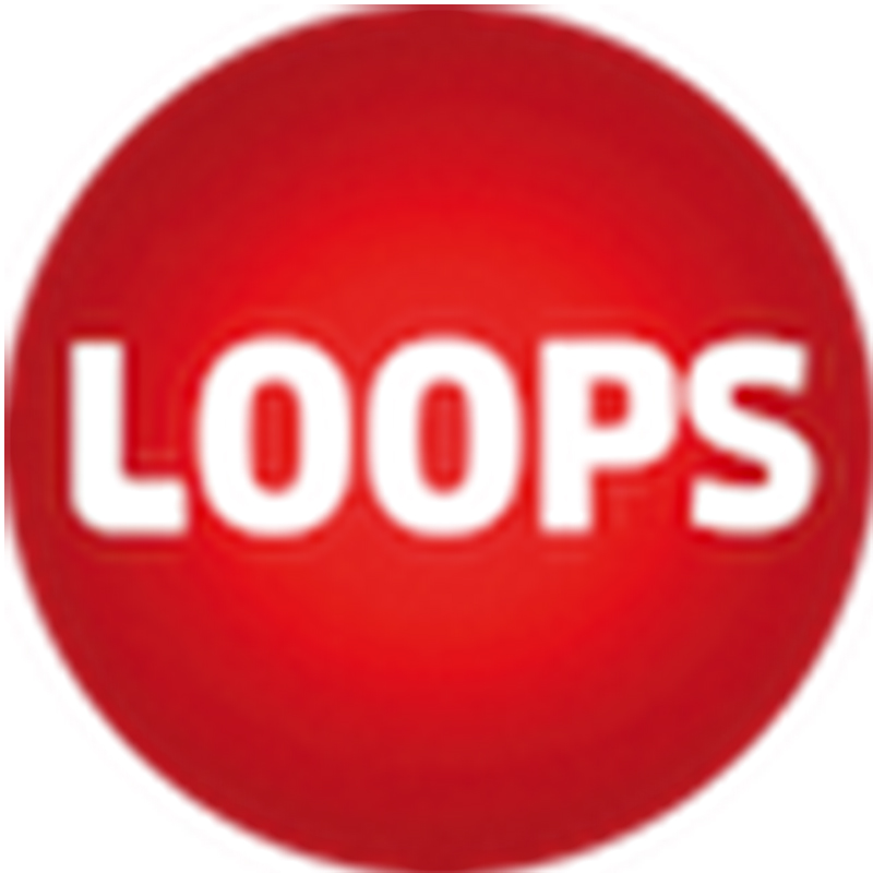 LoopsFinanz ist an neue Standards des Zahlungswesen angepasst